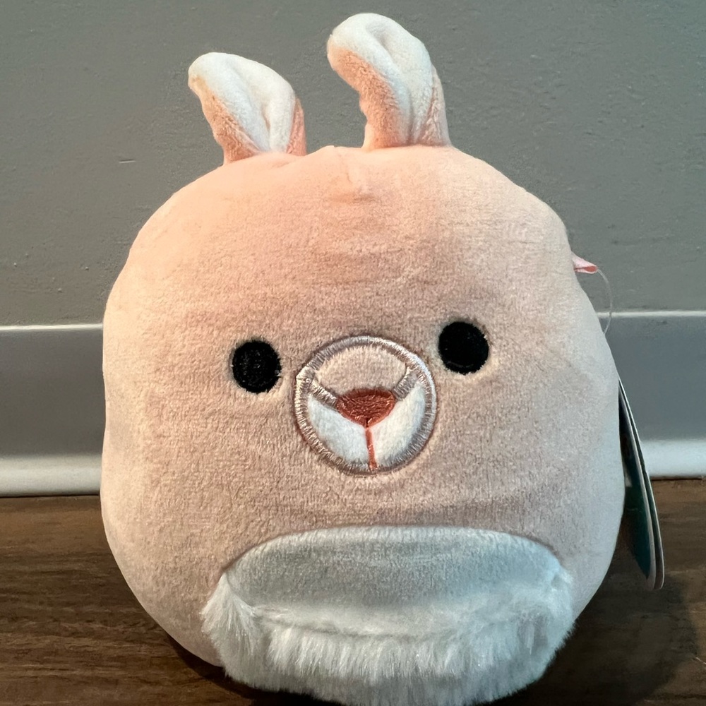 5inch Quinn the Kangaroo Squishmallow NWT